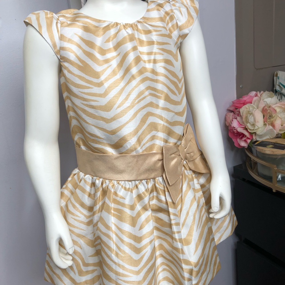 Gymboree toddler dress ( 2T)